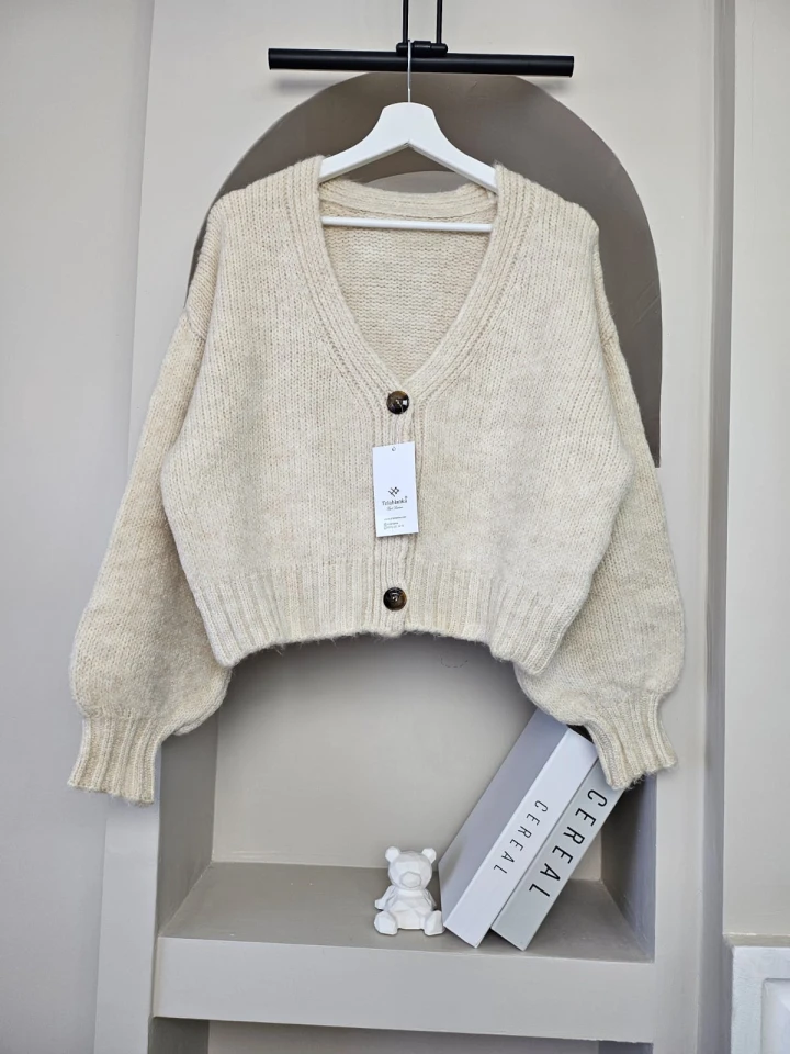 V Yaka Basic Aura Hırka