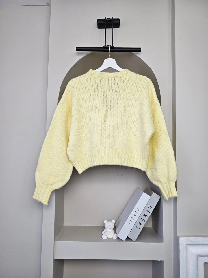 V Yaka Basic Aura Hırka